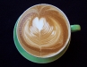 A Rosetta by Emily
